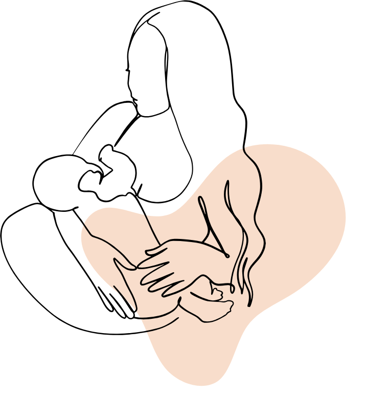 Lactation