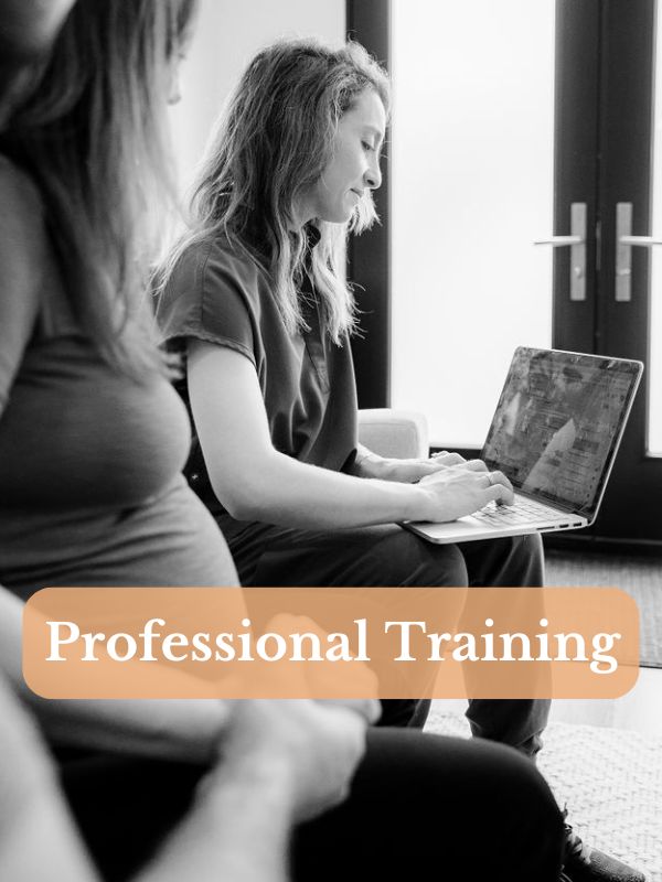 Professional Training Your Downtown doula Toronto For Professionals
